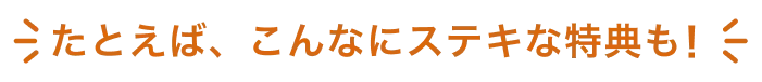 たとえば、こんなステキな特典も！