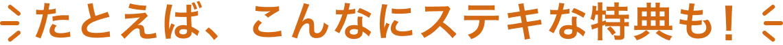 たとえば、こんなステキな特典も！