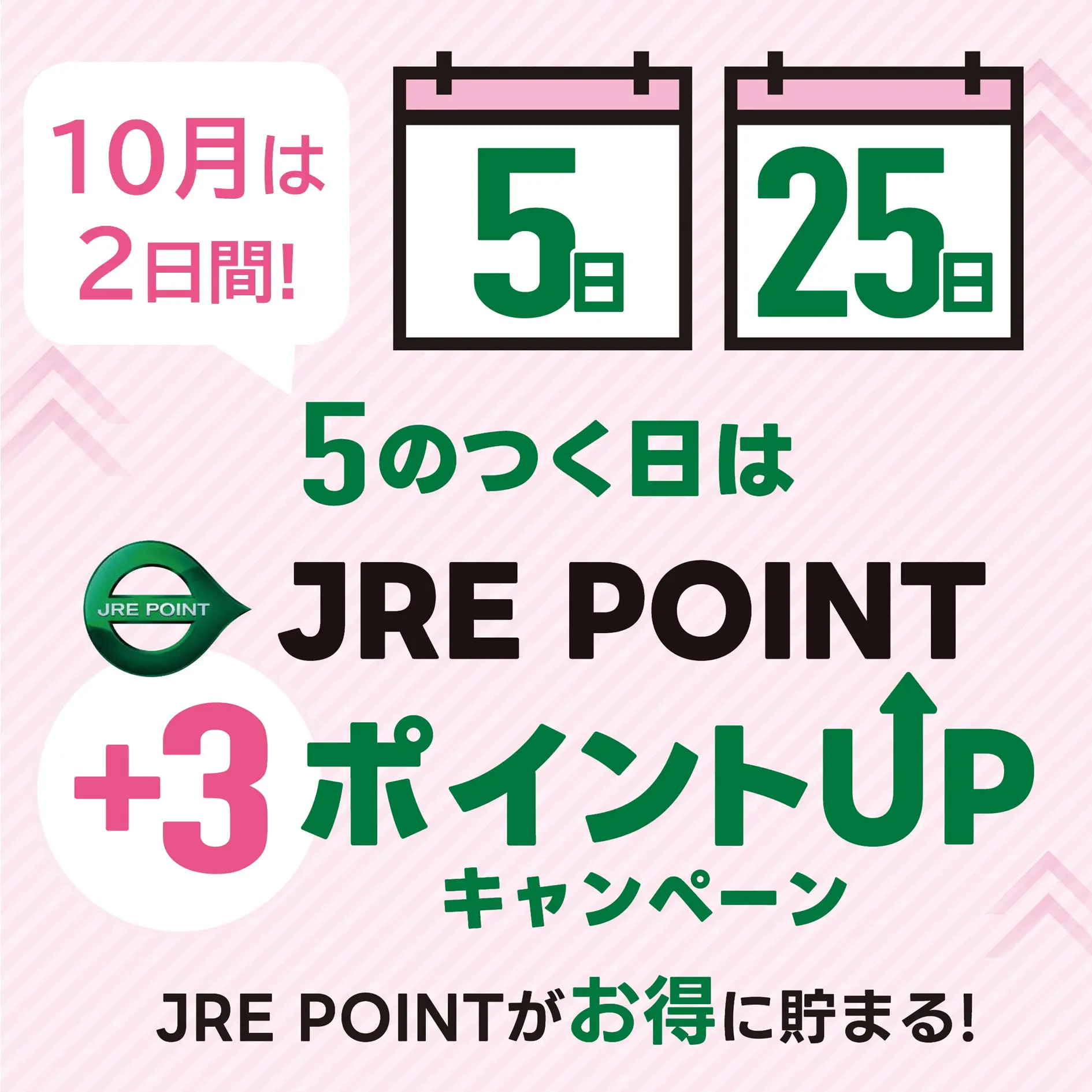 キャンペーン