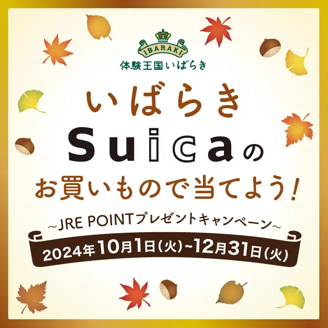 キャンペーンバナー